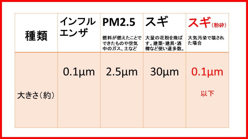 スギ花粉の大きさ比較表